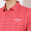 /md_4Pf3NQrhdX79Y8SK.jpg?1650260867