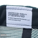 /9forty-a-frame-on-par-peanuts-14124321-osfm-new-era-953905.jpg?v=1711692785