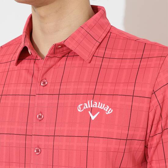 /md_4Pf3NQrhdX79Y8SK.jpg?1650260867